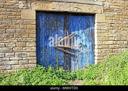 Peeling peinture bleue sur les portes Banque D'Images