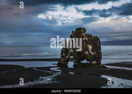 Hvitserkur bird rock dans le nord de l'Islande Banque D'Images