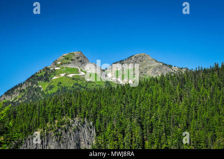 Mt. Rainier National Park, Washington State, USA. Banque D'Images