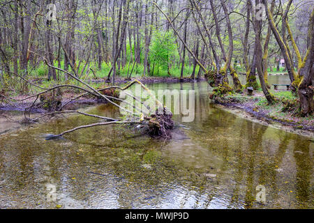 À la rivière Bosna Vrelo Bosne, près de Sarajevo, Bosnie-et-Herzégovine. Banque D'Images