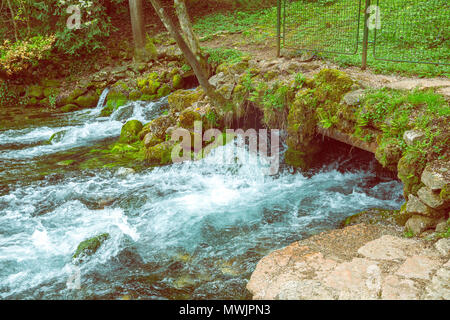 La source de la rivière Bosna dans nature park Vrelo Bosne, près de Sarajevo, Bosnie-et-Herzégovine. Banque D'Images