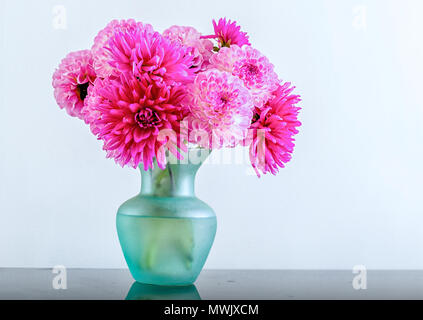 Un mélange de rose dahlias dans un vase turquoise. Banque D'Images