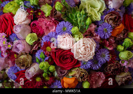 Une collection de beaux et de fleurs colorées. Banque D'Images