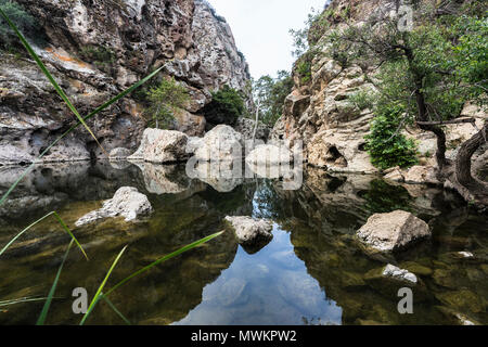 Piscine dans les rochers de pique-nique à Malibu Creek State Park dans le montagnes de Santa Monica, près de Los Angeles, Californie. Banque D'Images