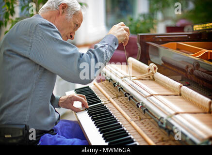 Technicien professionnel pano mécanisme de réparation. Banque D'Images