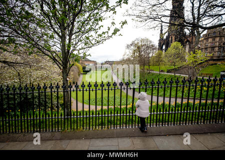 Promeneurs sur Prince Street Gardens avec Cherry blossons frais généraux pendant un jour pluvieux de printemps. Edimbourg, Ecosse Banque D'Images