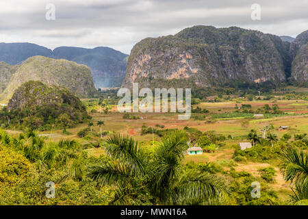 Vue de paysage de Vinales à Cuba. Banque D'Images