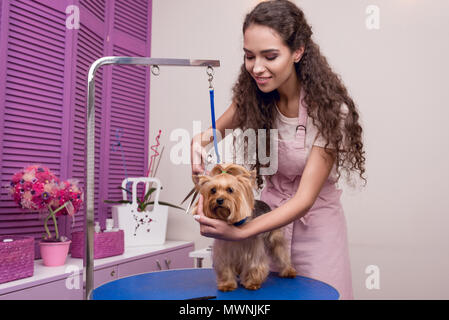 Smiling young professional groomer holding scissors pendant qu'on se toilette chien dans pet salon Banque D'Images