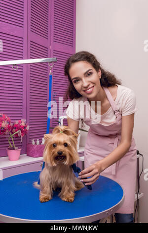 Toiletteur professionnel souriant alors que le toilettage peigne holding dog in pet salon Banque D'Images