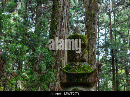 Ancien cimetière Okunoin à tombstone sur Mt. Koya (Koyasan) dans la région de Wakayama, Japon. Banque D'Images