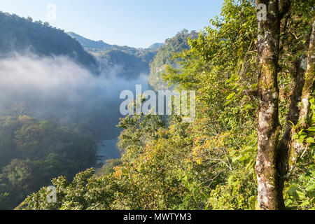 Portrait d'un moins connu sur le secteur, le Guatemala Semuc Champey, Amérique Centrale Banque D'Images