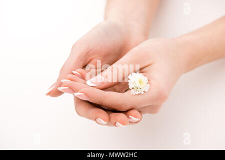 Vue partielle de fille avec manucure naturelle holding daisy, isolated on white Banque D'Images