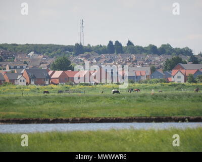 Sheerness, Kent, UK. 2 juin, 2018. Royaume-uni : un temps ensoleillé et chaud matin de Sheerness, Kent. Credit : James Bell/Alamy Live News Banque D'Images