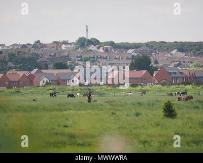 Sheerness, Kent, UK. 2 juin, 2018. Météo France : les marcheurs profiter du beau temps chaud et à Barton's Point Parc Côtier de Sheerness, Kent. Credit : James Bell/Alamy Live News Banque D'Images