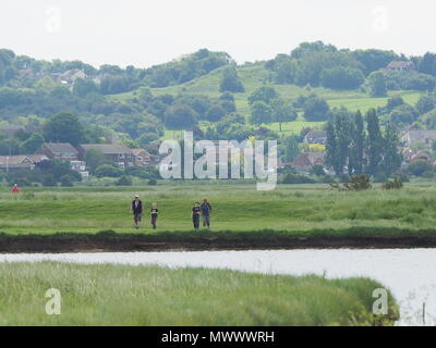 Sheerness, Kent, UK. 2 juin, 2018. Météo France : les marcheurs profiter du beau temps chaud et à Barton's Point Parc Côtier de Sheerness, Kent. Credit : James Bell/Alamy Live News Banque D'Images