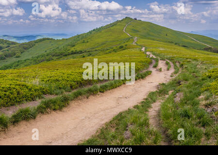 Sentier jusqu'à ce qu'on appelle Winnie l'ourson sur un Hasiakowa refuge Refuge Rock mountain, partie de Wetlina Meadows dans l'ouest de Bieszczady en Pologne Banque D'Images