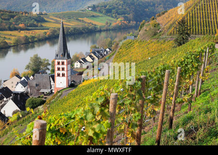 Vue de quartier Merl, vallée de la Moselle, Zell an der Mosel, Rhénanie-Palatinat, Allemagne, Europe Banque D'Images