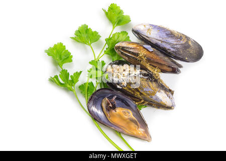 Moules fraîches cuites, moules, fruits de mer avec persil vert isolé sur fond blanc avec chemin de détourage. Banque D'Images