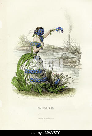 . Illustration : l'anglais 'Myosotis' (ne m'oubliez pas) de 'fleurs' animées par l'artiste français Grandville (1803-1847). Deutsch : Illustration 'Myosotis' (Vergissmeinnicht) aus 'Fleurs animées' (Beseelte Blumen) von dem französischen Künstler Grandville (1803-1847). 1846. J. J. Grandville Grandville 253 Fleurs Vergissmeinnicht Banque D'Images
