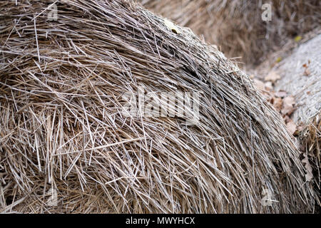 Close up sur le bord de la balle de foin à Marijampolė, la Lituanie. Banque D'Images