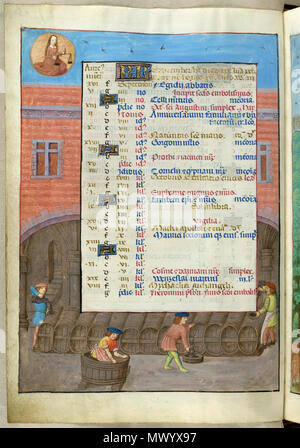 . Anglais : British Library blog voir mois de 2011 pour obtenir des détails spécifiques sur l'image . 18 novembre 2010. Artistes de 1480 27 18851, f. 5v page calendrier pour Septembre Banque D'Images