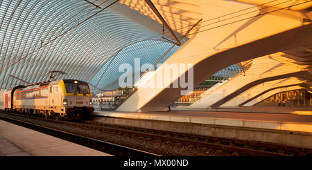 Un train au début du soleil prêt à quitter la gare de Liège Guillemins. Architecte : Santiago Calatrava Banque D'Images