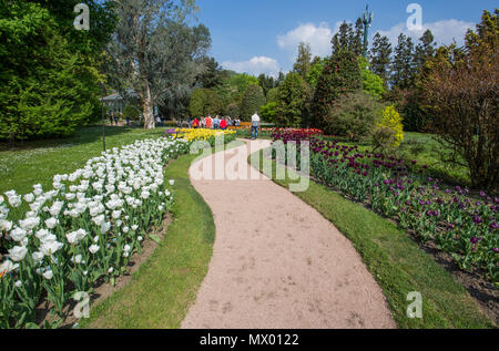 Belle diverses sortes de tulipes au jardin botanique de la Villa Taranto à Pallanza, Verbania, Italie. Banque D'Images