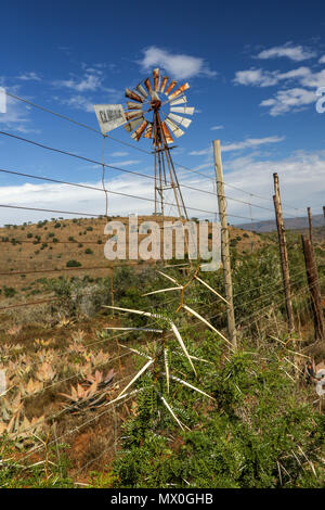 Pompe éolienne Pales multi-acacia et de l'est cap fynbos dans le paysage. L'Addo Elephant National Park, Eastern Cape, Afrique du Sud Banque D'Images
