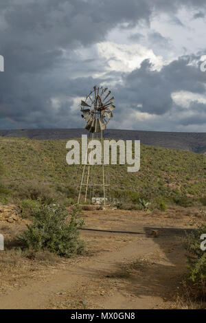 Pompe éolienne Pales multi-acacia et de l'est cap fynbos dans le paysage. L'Addo Elephant National Park, Eastern Cape, Afrique du Sud Banque D'Images