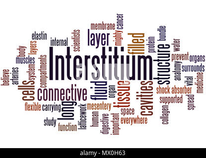 Interstitium (nouvel orgue découvert dans le corps humain) mot concept cloud sur fond blanc. Banque D'Images