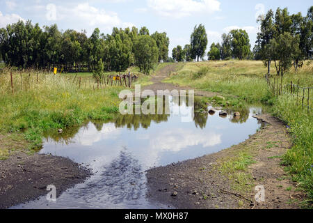 Piscine sur la route de terre sur le plateau du Golan en Galilée, Israël Banque D'Images