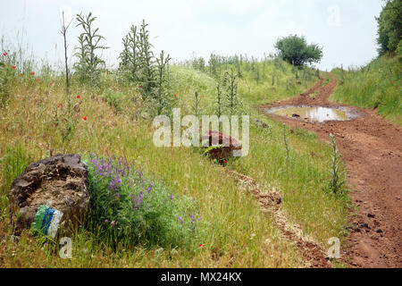 Piscine sur le plateau du Golan sentier de randonnée dans les hauteurs du Golan en Israël Banque D'Images