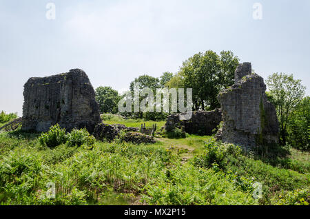 Peu de vestiges de Château Caergwrle dans Flintshire, au nord du Pays de Galles. Banque D'Images