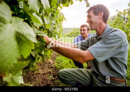 Élève et tuteur de viniculture au Collège agricole de Plumpton Banque D'Images