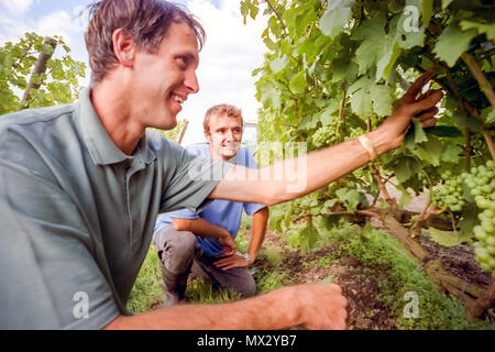 Élève et tuteur de viniculture au Collège agricole de Plumpton Banque D'Images