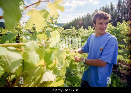 Élève et tuteur de viniculture au Collège agricole de Plumpton Banque D'Images