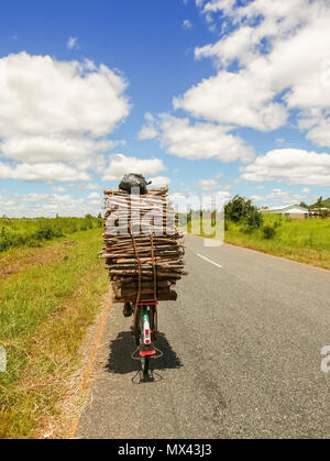 L'homme sur le vélo est transportant du bois près de Kasungu au Malawi Banque D'Images