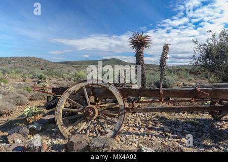 Vieille roue de chariot et le cap de l'aloès dans le paysage de l'Addo Elephant National Park, Eastern Cape, Afrique du Sud Banque D'Images