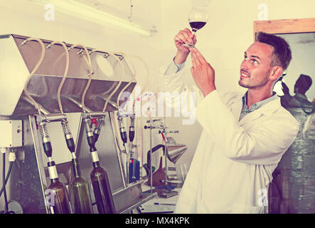 Portrait de jeune homme charmant sourire winery travailleur avec des machines d'embouteillage sur factory Banque D'Images