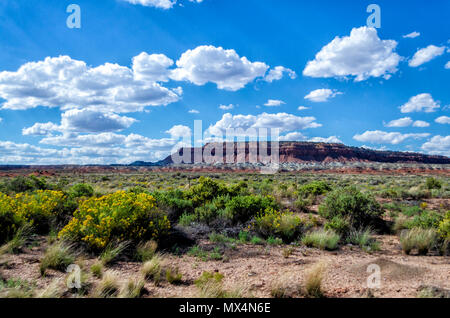 Vaste champ avec buissons verts et des fleurs colorées avec plateau rock en couches dans l'arrière-plan sous ciel bleu avec des nuages blancs. Banque D'Images