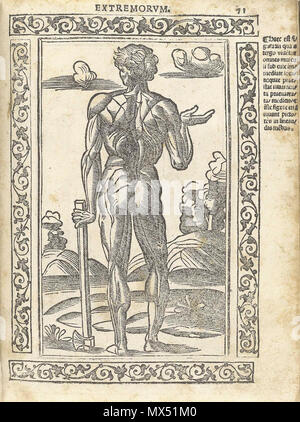 . Anglais : Berengario da Carpi, Jacopo. Breues Isagogae, perlucidae ac uberrimae, dans anatomiam humani corporis un communi medicorum academia usitatam. Bologne : Beneditcus (Hector, 1523). Jacopo Berengario da Carpi, également connu sous le nom de Jacobus Bérenger Carpensis, Jacopo Barigazzi, ou simplement Carpe, est né à Carpi, Modène dans environ 1460, le fils d'un chirurgien. Alors que les jeunes, il était un étudiant de l'imprimante et noté, l'éditeur Aldus Manutius. Il a fréquenté l'école de médecine à Bologne et enseigna la chirurgie à Pavie, et de 1502 à 1527 il était sur la faculté à Bologne. À divers moments, il a vécu en FERR Banque D'Images