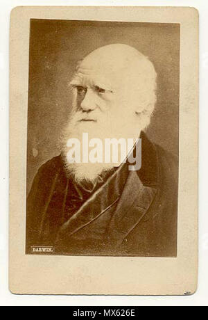 . Anglais : une carte de visite photographie de Charles Darwin . Date inconnue (années 1860 aux années 1880). Inconnu 123 carte de visite de Charles Darwin Banque D'Images