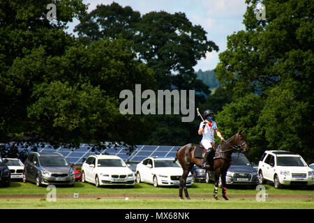 Burningfold, UK, 2 juin 2018. Kylin inaugurale Polo à la terre. Accueil Kylin Crédit : Calvin Tan/Alamy Live News Banque D'Images