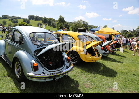 With Stonor, Oxfordshire, UK. 3e juin 2018. Tous les types de voitures et camionnettes Volkswagen historique ont été présentés à la réunion de cette année de leurs propriétaires. Les fans pouvaient s'approcher du bien-aimé véhicules du constructeur automobile allemand, qui a créé sa réputation de durabilité et d'appel hippie dans les années 60. Les coléoptères alignés. Credit : Uwe Deffner/Alamy Live News Banque D'Images