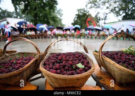 Rongjiang, province du Guizhou en Chine. 3 juin, 2018. Les personnes à se préparer à évaluer l'waxberry pendant le festival waxberry dans Gaowen ethniques Miao village de Rongjiang Comté, au sud-ouest de la province du Guizhou, en Chine, le 3 juin 2018. Un festival waxberry a eu lieu à Rongjiang le dimanche. Credit : Wang Bingzhen/Xinhua/Alamy Live News Banque D'Images