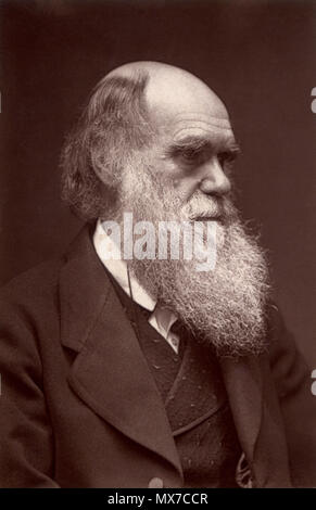 . Anglais : UN Woodburytype photographie carte de visite de Charles Darwin, publié par John G. Murdoch. Bien qu'un peu différente, il convient de poser à une similarité 1874 Elliott & Fry portrait, fichier:Charles Darwin photographie par Elliott et Fry, 1874.jpg. Pour l'arrière, voir le fichier:File-Darwin - John G Murdoch retour Portrait.jpg. Date inconnue, peut-être 1874. John G. Murdoch (éditeur) (mort en 1902) ; probablement créé par Elliott & Fry Alternative Names Joseph John Elliott et Clarence Edmund Fry Description photographe britannique British portrait photographique studio Date de naissance/décès Elliott : Banque D'Images