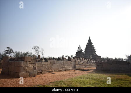 Le Shore Temple est ainsi nommé parce qu'il donne sur la rive de la baie de Bengale. C'est un temple, construit avec des blocs de granit. Banque D'Images