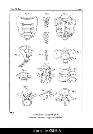 190 Encyclopédie méthodique - Systeme Anatomique, pl12 Banque D'Images