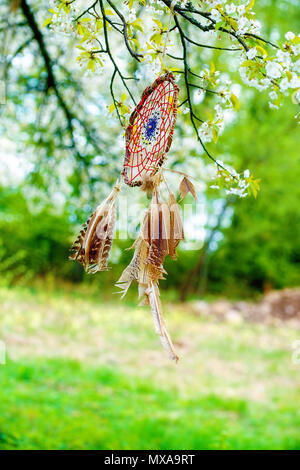 Hand Crafted Dream Catcher avec plume accrochée à un arbre. Banque D'Images