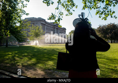 Aspersion d'eau sur la pelouse à l'extérieur de Buckingham Palace, sur une chaude journée d'été Banque D'Images